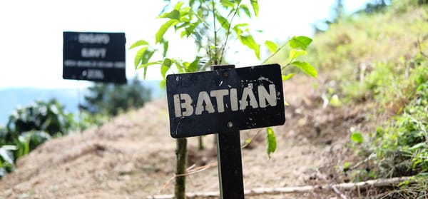 巴蒂安 Batian
