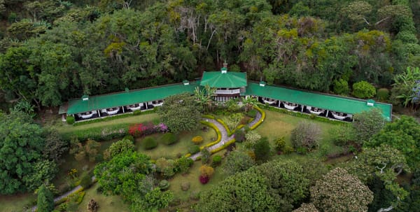 巴拿马 雷莉达庄园 ：从巴拿马运河工程师到世界名庄